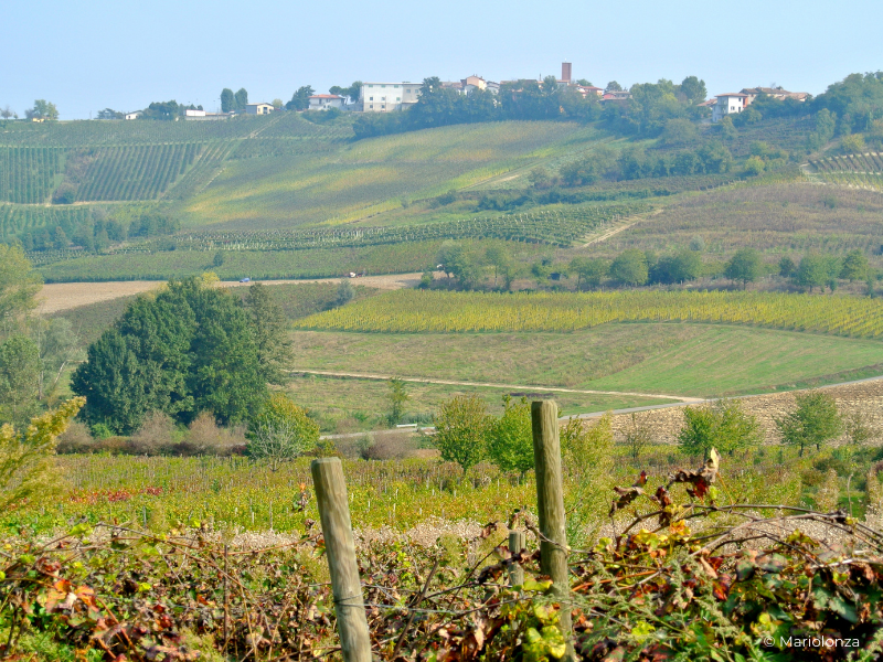 Italy-lombardije-Oltrepò Pavese_-your-italian-travel-guide